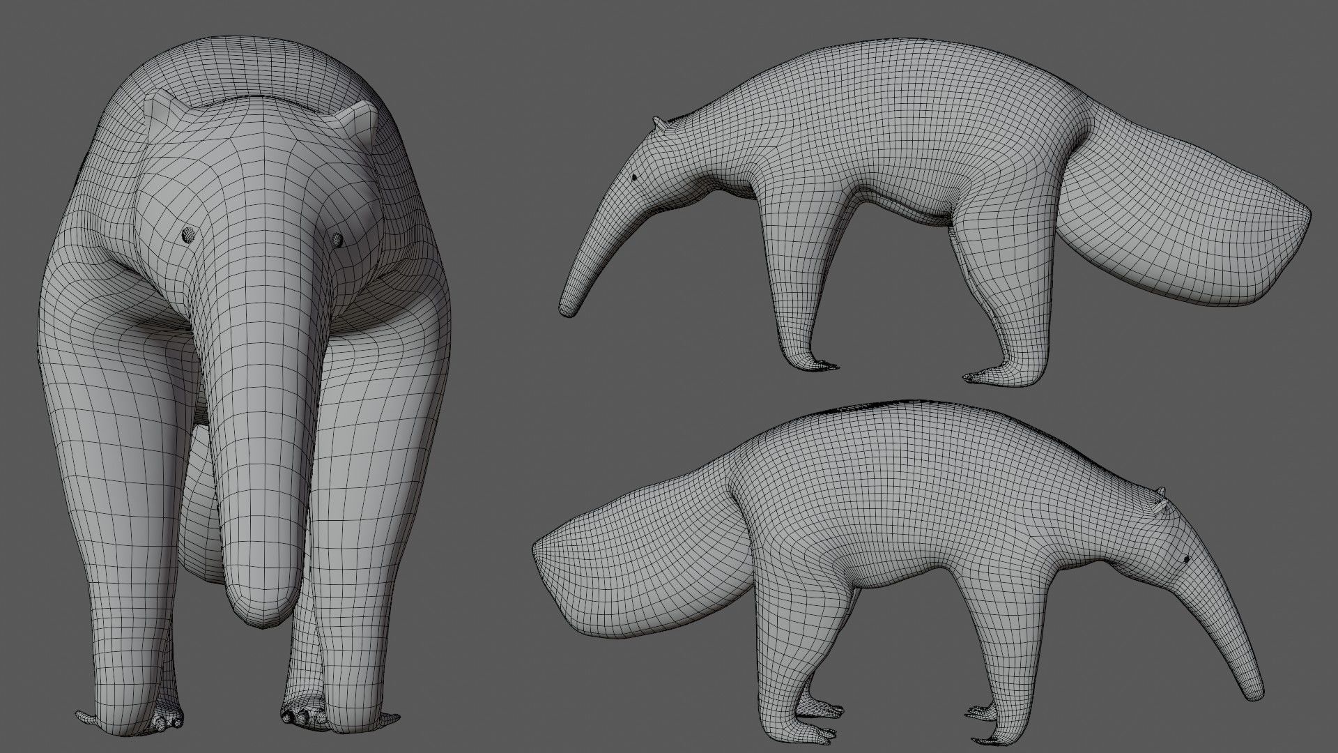 Anteater ant eater Low-poly 3D model_8