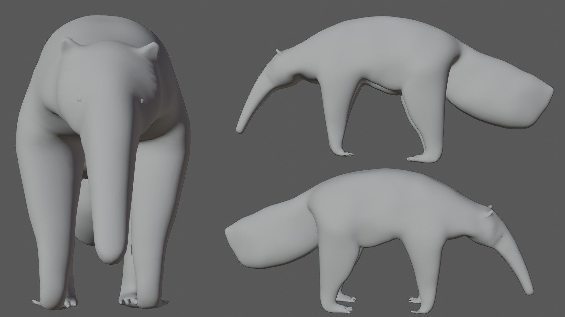 Anteater ant eater Low-poly 3D model_6