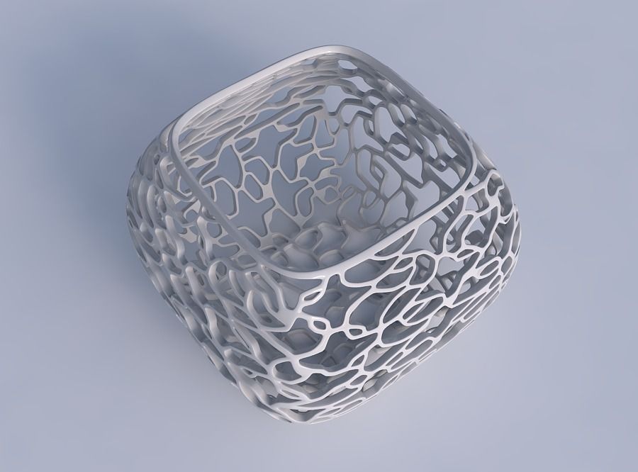 Bowl semi-quadratic with entangled lattice 3D print model_1