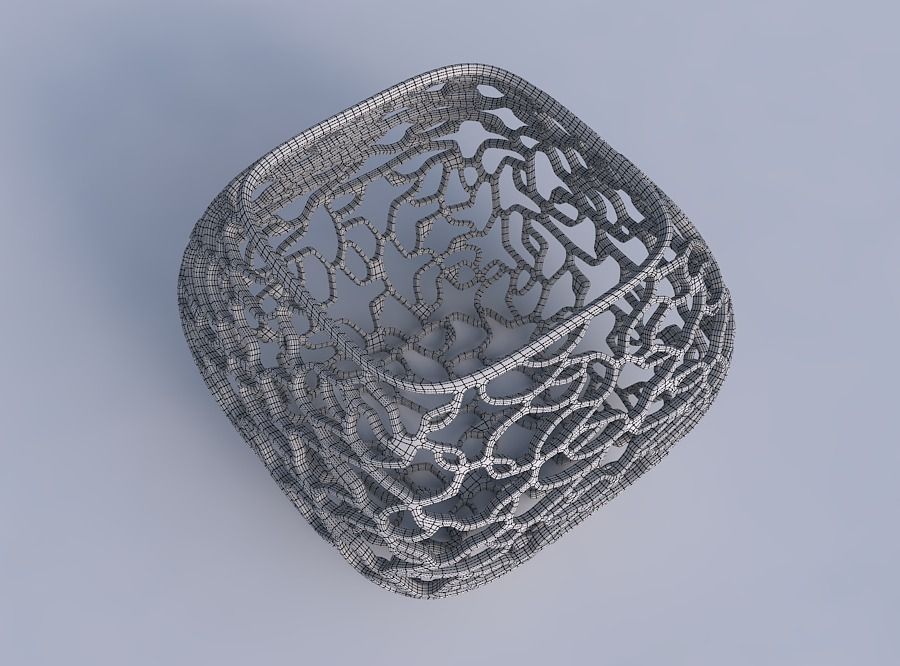 Bowl semi-quadratic with entangled lattice 3D print model_6