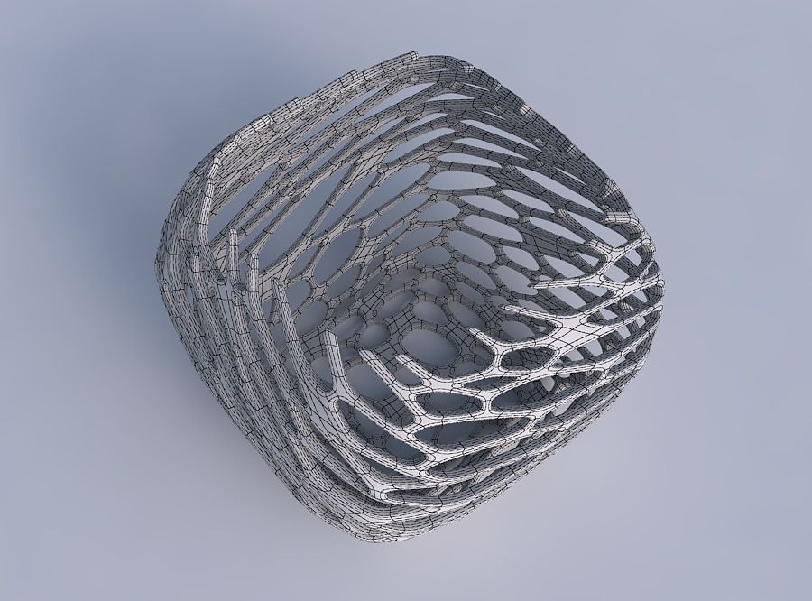 Bowl semi-quadratic with cracked and twisted organic lattice 2 3D print model_6