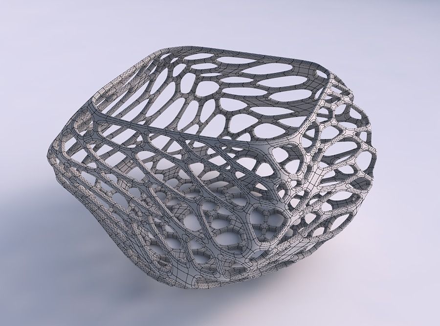 Bowl helix with twisted organic lattice 3D print model_5