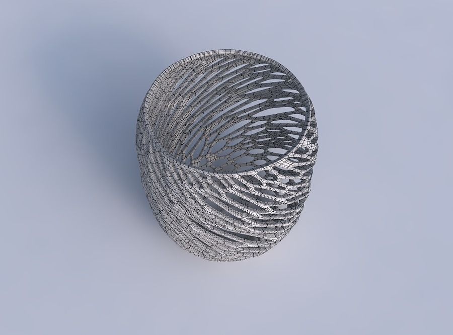 Bowl cylindrical with twisted diagonal organic lattice 3D print model_6
