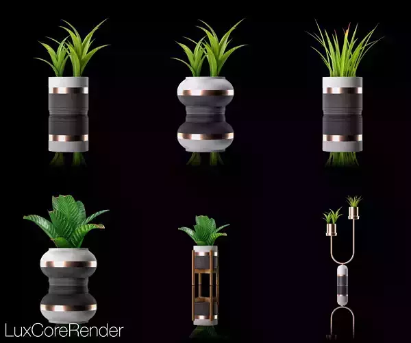 Potted Indoor House Plants