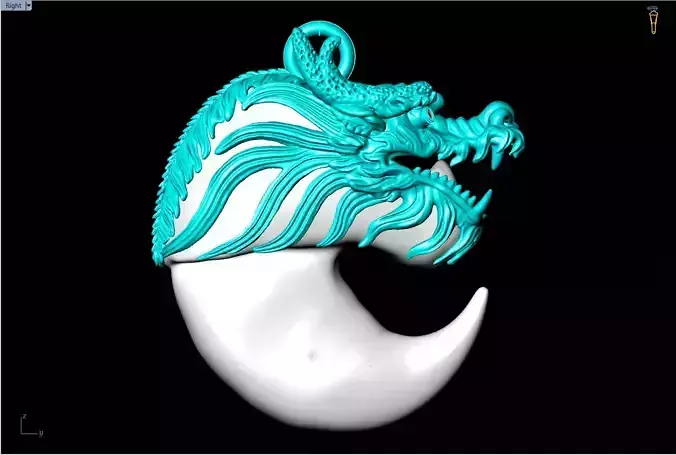 Dragon pendant - Bears claw - Tiger nails - Tiger fang - N905