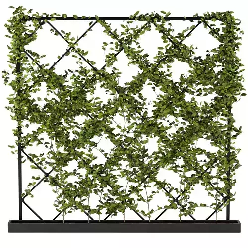 Plants collection 9 lattice screen with