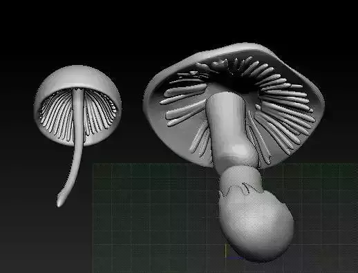 mushroom