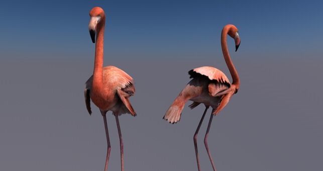 Flamingo animated Low-poly 3D model_2