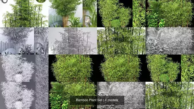 Bamboo Plant Set 3D Model Collection