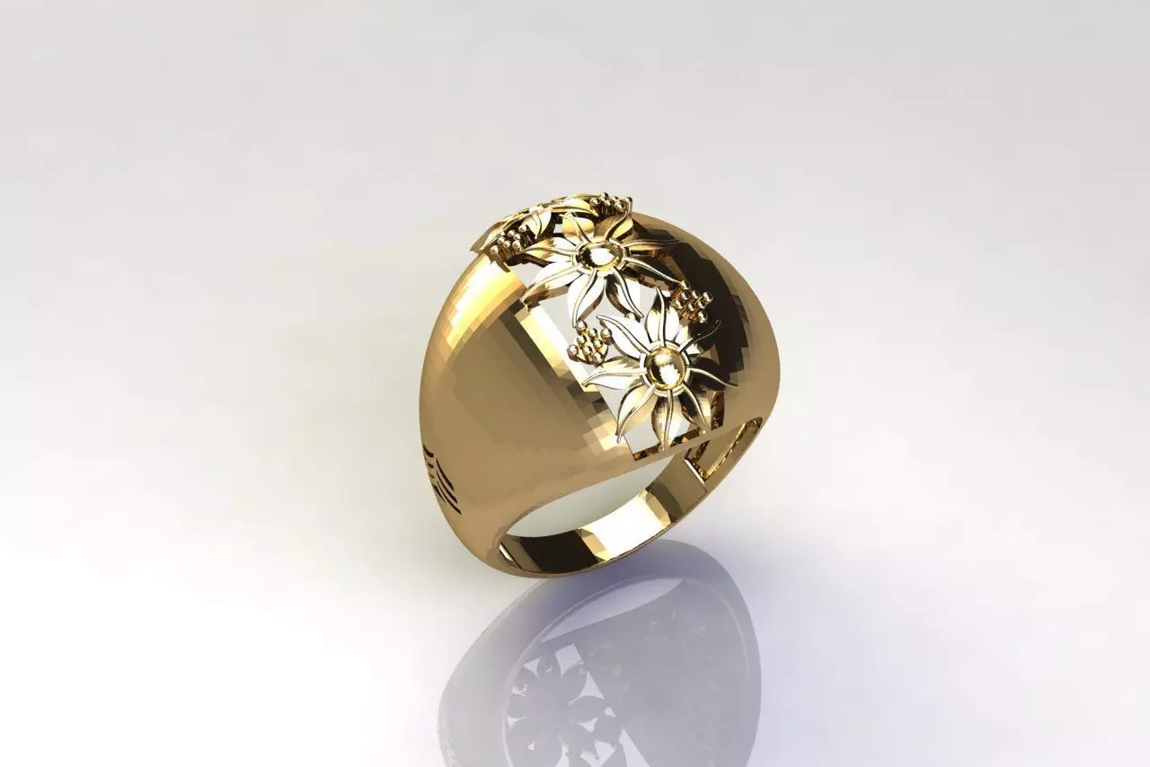 Women Plain Ring Group FTS READY STL 3D print model_0