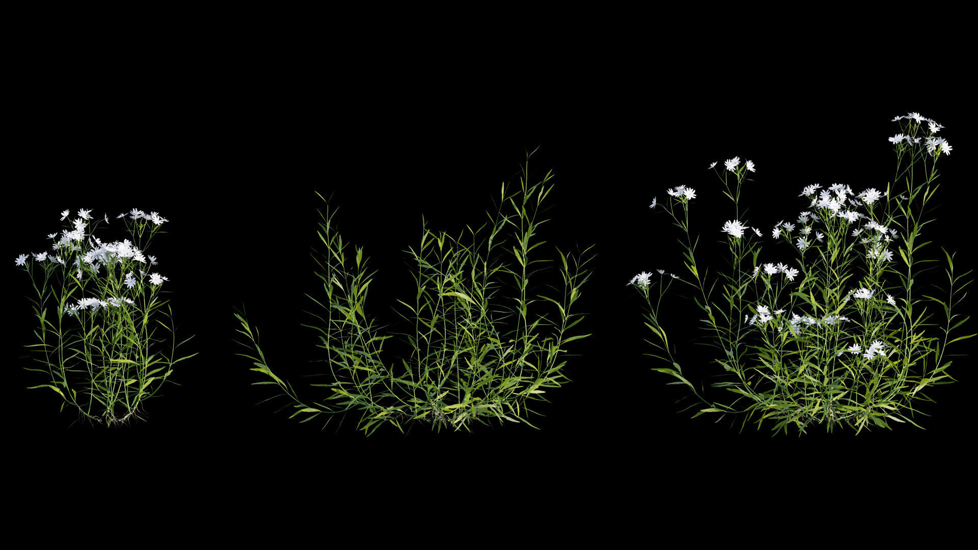 Bundle 14 -The Savills and David Harber Garden 3D model_36