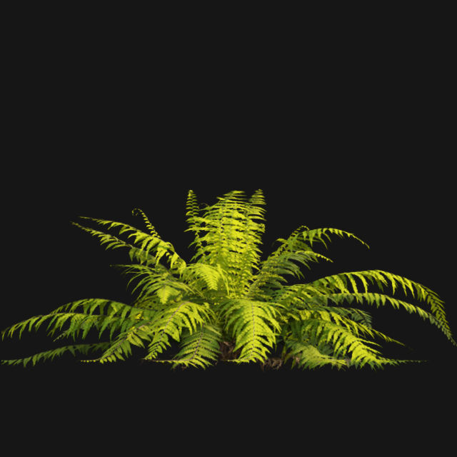 Bundle 14 -The Savills and David Harber Garden 3D model_79