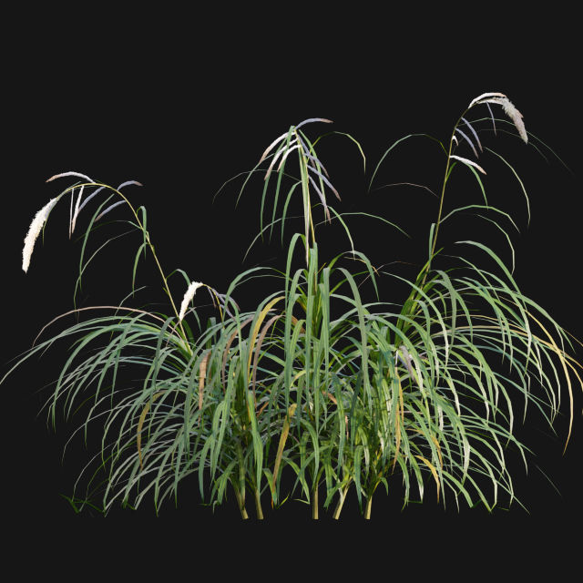 Bundle 14 -The Savills and David Harber Garden 3D model_61