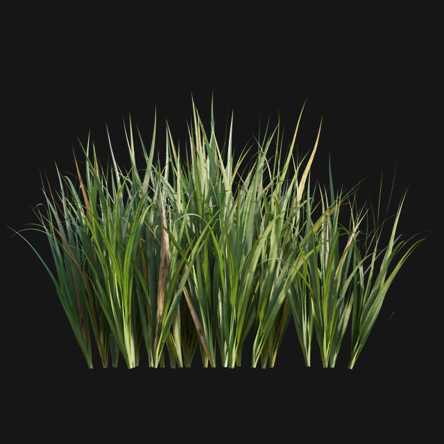 Bundle 14 -The Savills and David Harber Garden 3D model_88