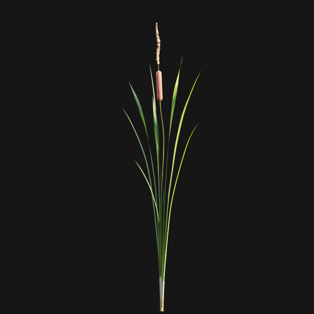 Bundle 14 -The Savills and David Harber Garden 3D model_113