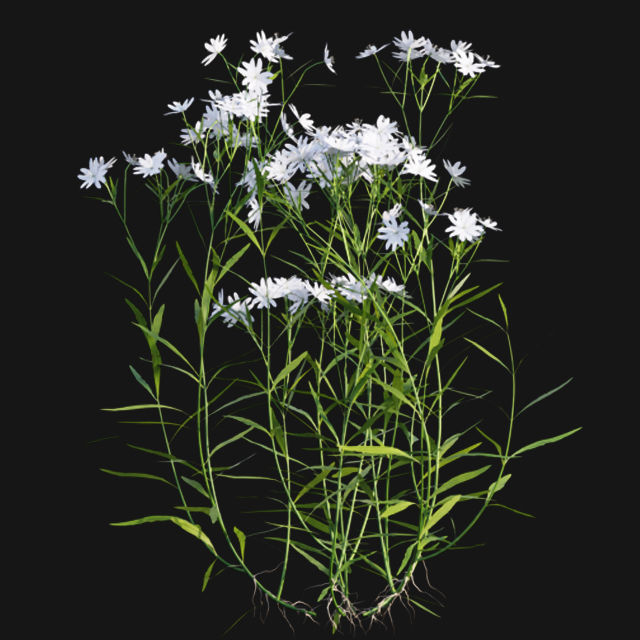 Bundle 14 -The Savills and David Harber Garden 3D model_106