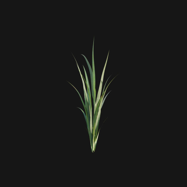 Bundle 14 -The Savills and David Harber Garden 3D model_68