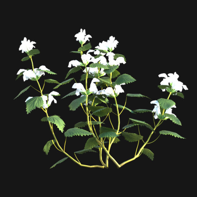 Bundle 14 -The Savills and David Harber Garden 3D model_95