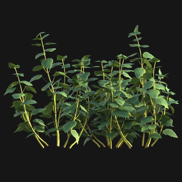 Bundle 14 -The Savills and David Harber Garden 3D model_97
