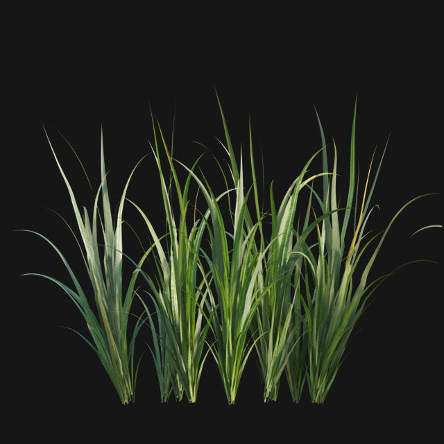 Bundle 14 -The Savills and David Harber Garden 3D model_87