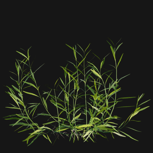 Bundle 14 -The Savills and David Harber Garden 3D model_110