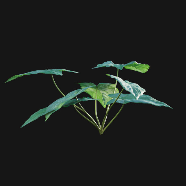 Bundle 14 -The Savills and David Harber Garden 3D model_49