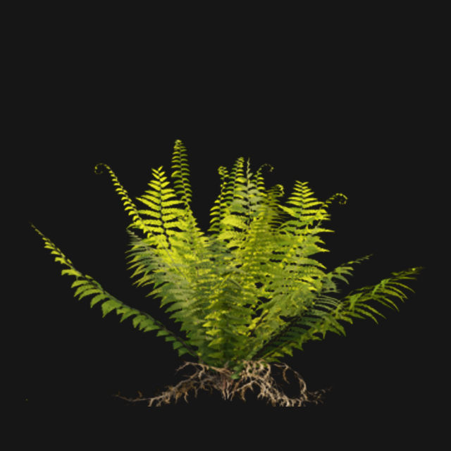 Bundle 14 -The Savills and David Harber Garden 3D model_77