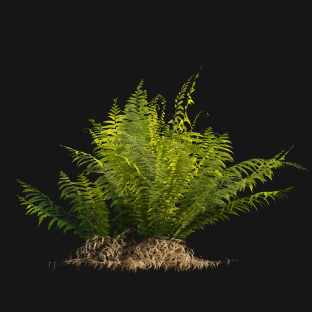 Bundle 14 -The Savills and David Harber Garden 3D model_65