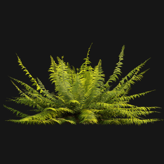 Bundle 14 -The Savills and David Harber Garden 3D model_63