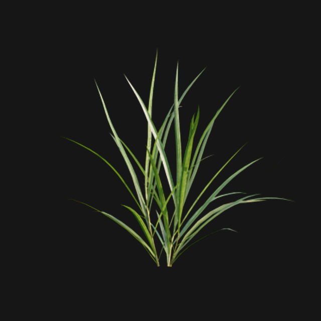 Bundle 14 -The Savills and David Harber Garden 3D model_58