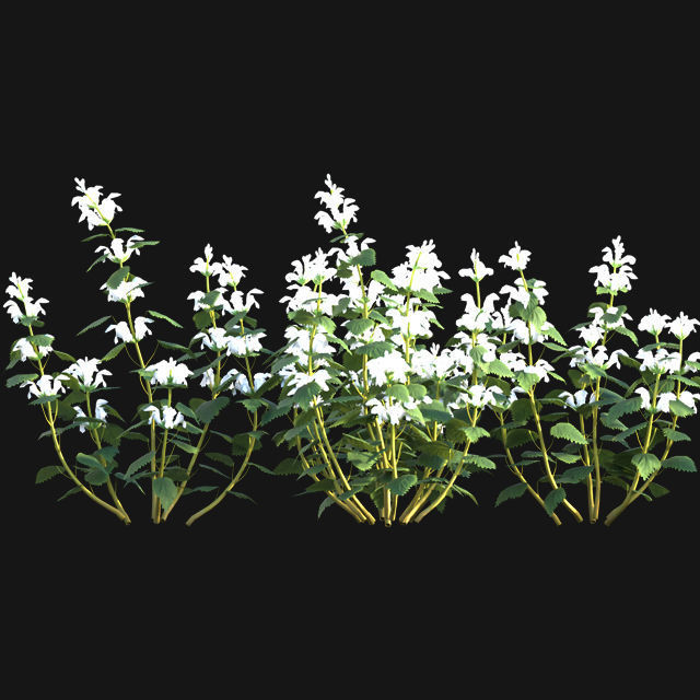 Bundle 14 -The Savills and David Harber Garden 3D model_98