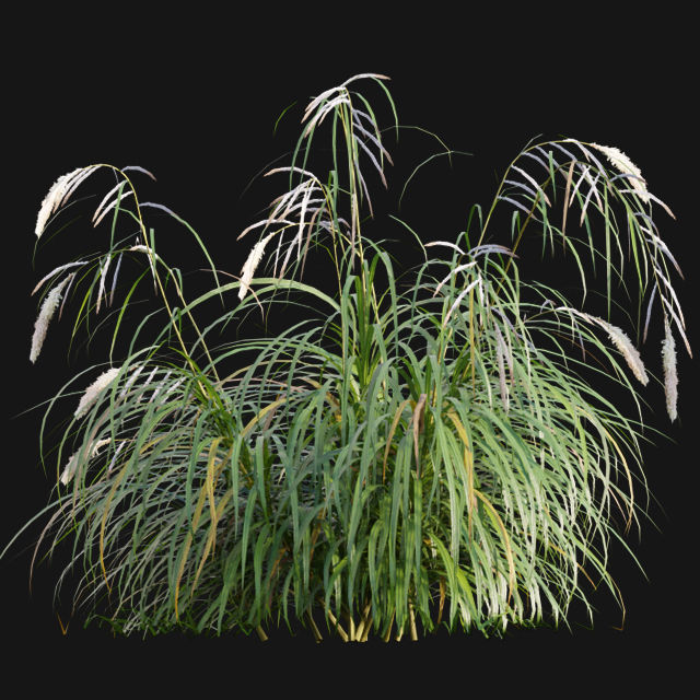 Bundle 14 -The Savills and David Harber Garden 3D model_73