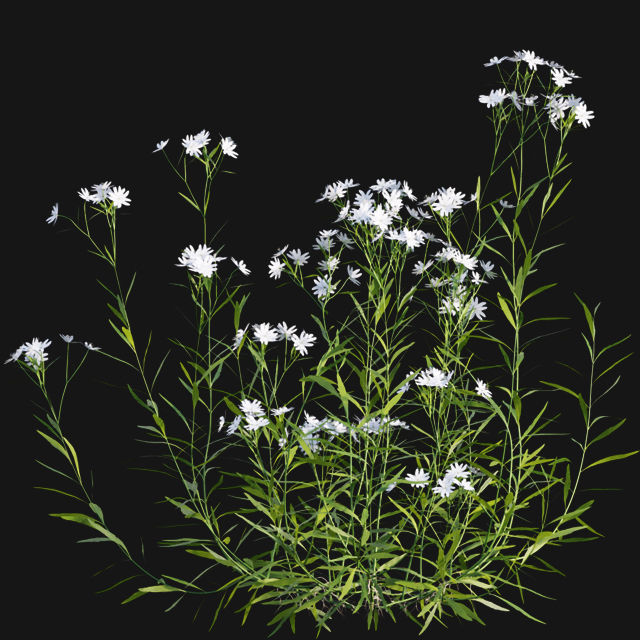 Bundle 14 -The Savills and David Harber Garden 3D model_111