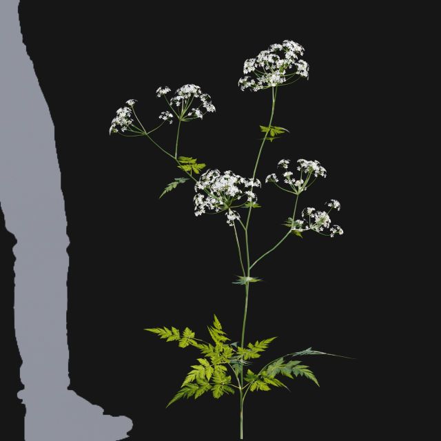 Bundle 14 -The Savills and David Harber Garden 3D model_43