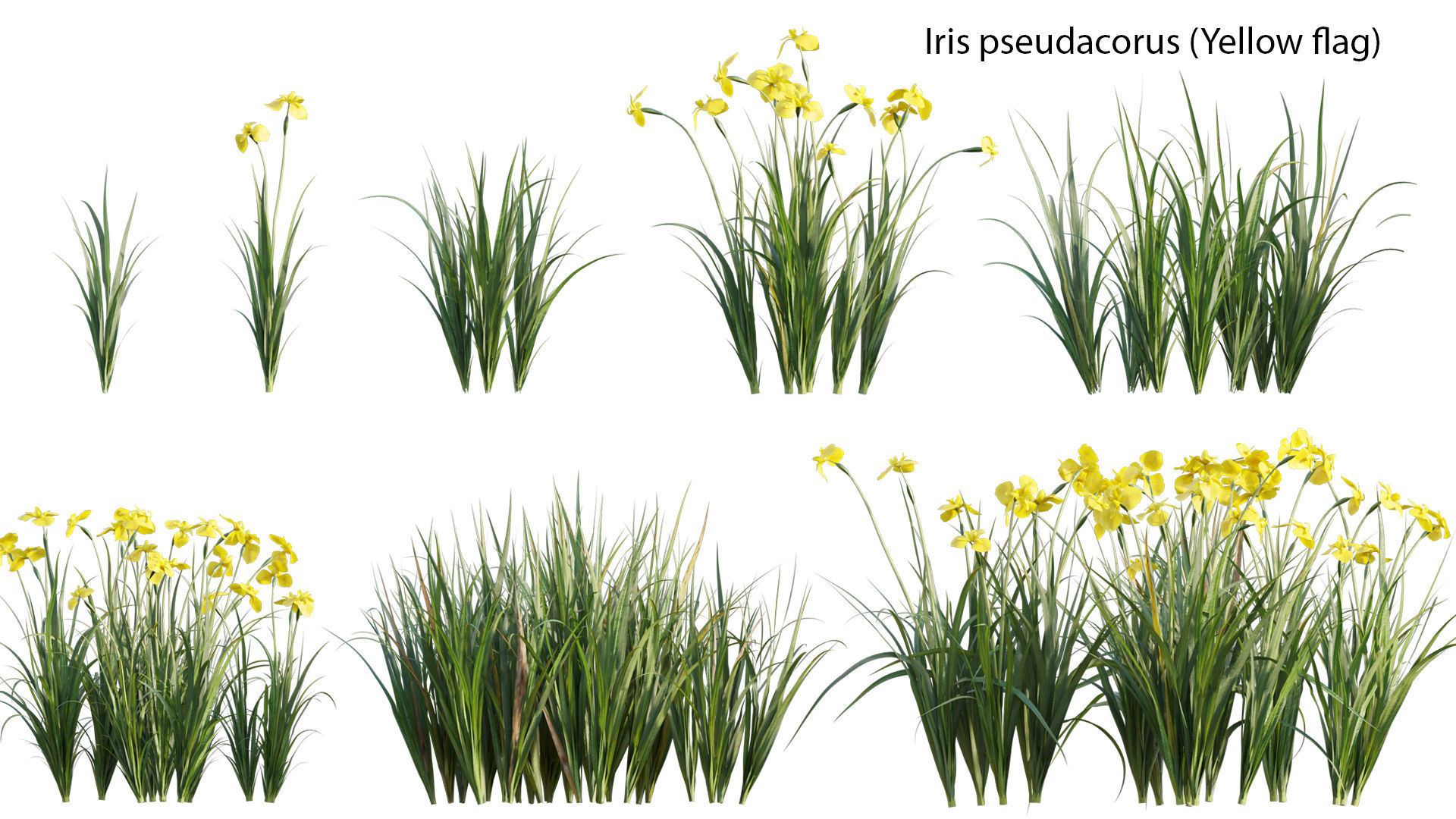 Bundle 14 -The Savills and David Harber Garden 3D model_25