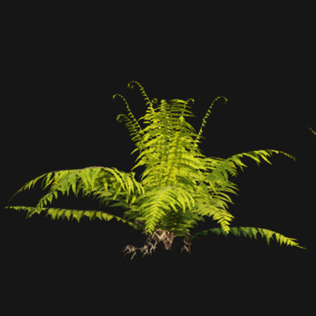 Bundle 14 -The Savills and David Harber Garden 3D model_38