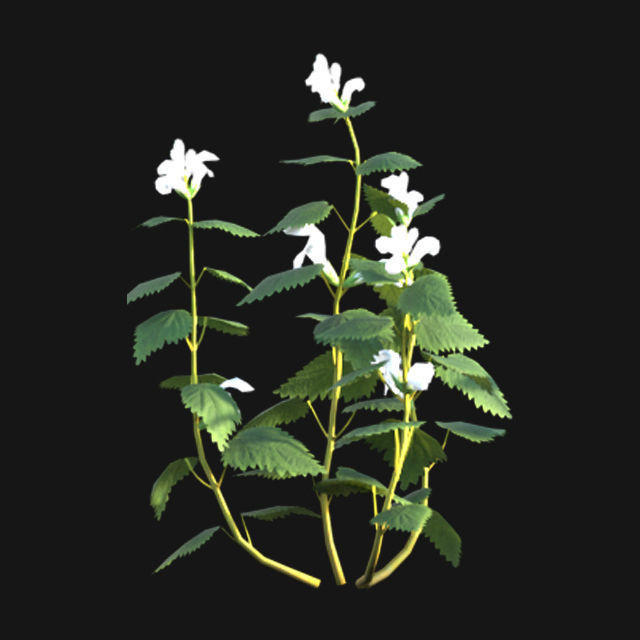 Bundle 14 -The Savills and David Harber Garden 3D model_90