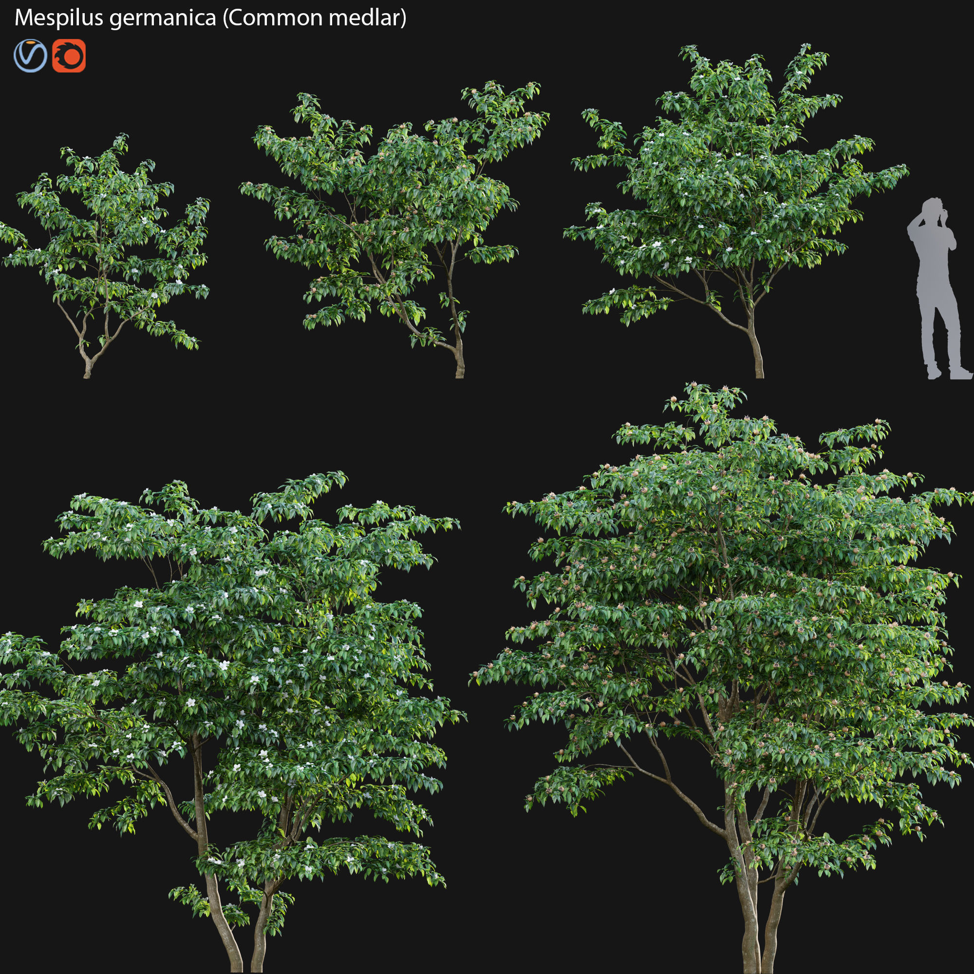 Bundle 14 -The Savills and David Harber Garden 3D model_30