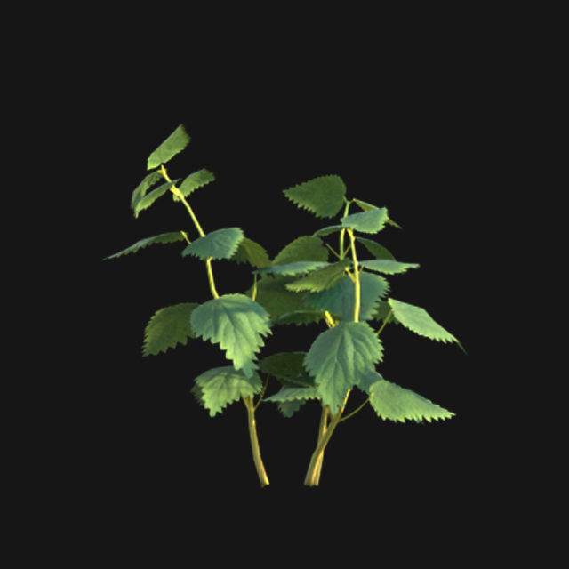 Bundle 14 -The Savills and David Harber Garden 3D model_91