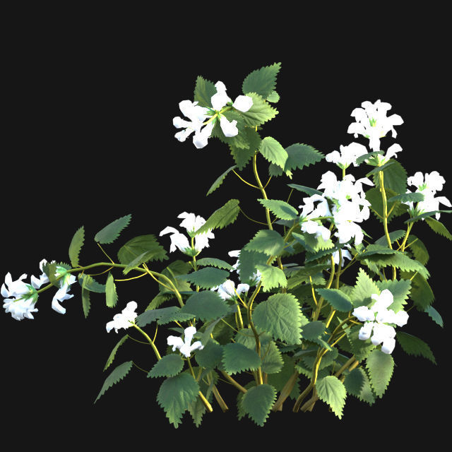 Bundle 14 -The Savills and David Harber Garden 3D model_96