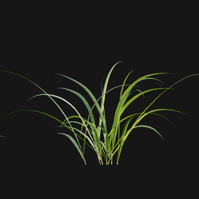 Bundle 14 -The Savills and David Harber Garden 3D model_59