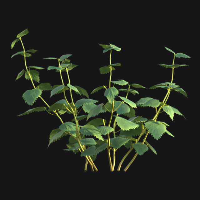 Bundle 14 -The Savills and David Harber Garden 3D model_94