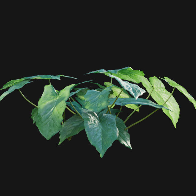 Bundle 14 -The Savills and David Harber Garden 3D model_56