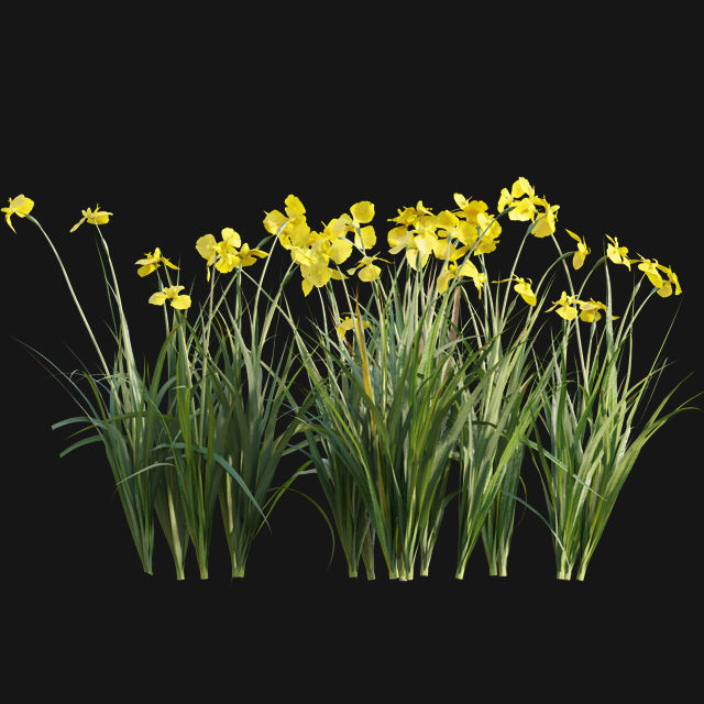 Bundle 14 -The Savills and David Harber Garden 3D model_89