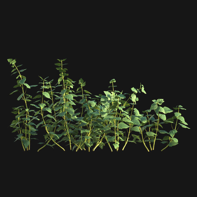 Bundle 14 -The Savills and David Harber Garden 3D model_99