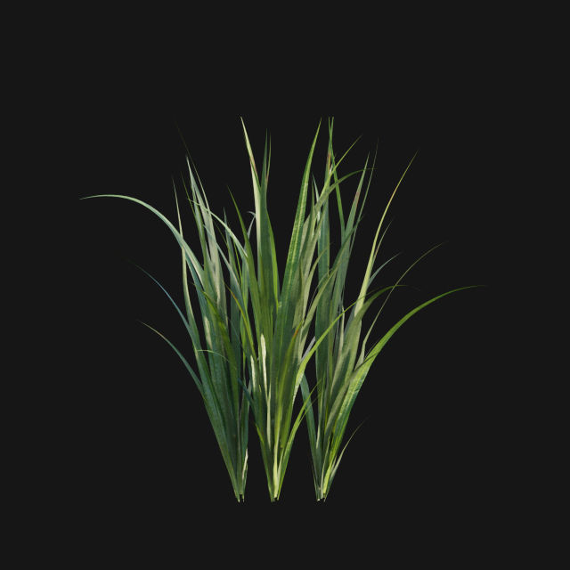 Bundle 14 -The Savills and David Harber Garden 3D model_69