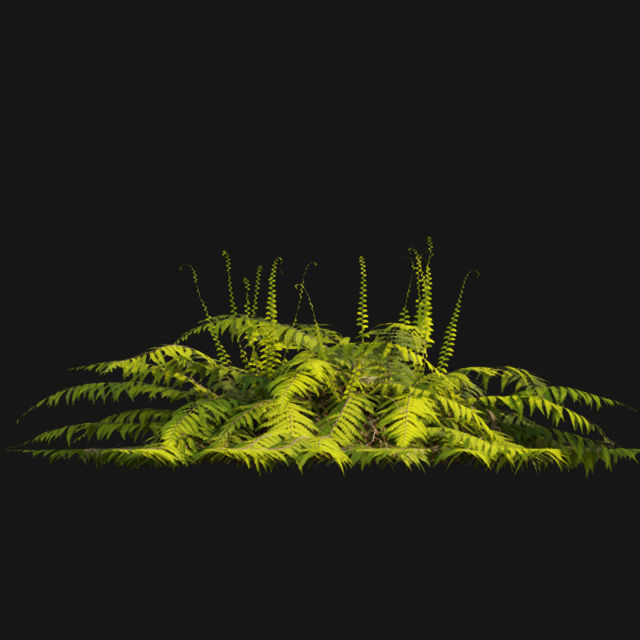 Bundle 14 -The Savills and David Harber Garden 3D model_64