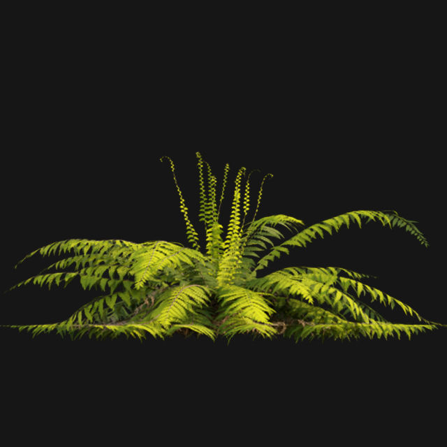 Bundle 14 -The Savills and David Harber Garden 3D model_80