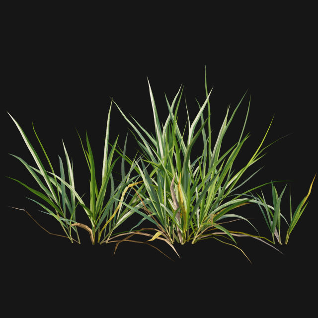 Bundle 14 -The Savills and David Harber Garden 3D model_71