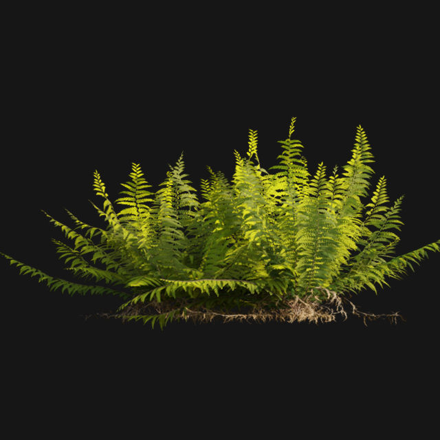 Bundle 14 -The Savills and David Harber Garden 3D model_66